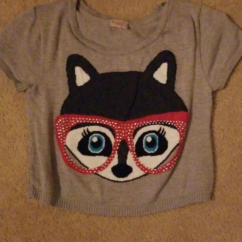 Fox short sleeve sweater